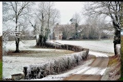 T1-Saisons