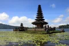 ALOR-2012-REFLEX-2-010