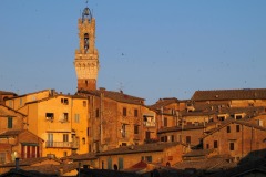 toscane-2014-1545-copie