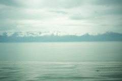 3-Iceland-Aquatic
