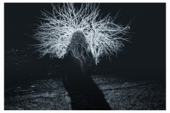 Silhouette-6