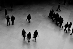 Silhouettes-JC1-0030