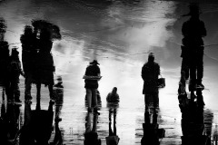 Silhouettes-JC4-0065