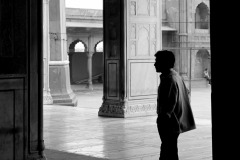 Silhouettes-4