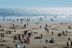 DSC_0484
