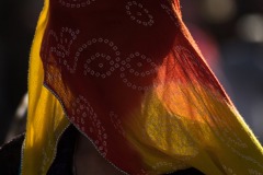 26032019-_RCM7643