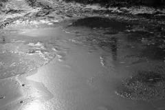 IMG_4320-copie