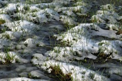 IMG_4338-copie