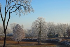 IMG_6646-copie