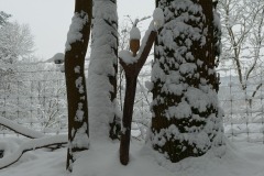 JPLCglace-brouillard-2