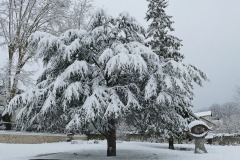JPLCglace-brouillard-3