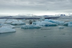 JPLCglace-brouillard-6