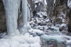 20090127-_DSC4066-Modifier