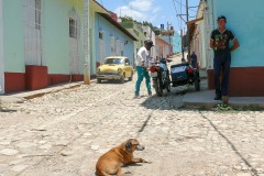 theme-rue-JPLC6