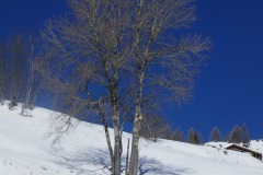 P1070270