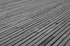 Planches-contact-2021-8
