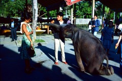 02_1976_11_Asie_P13_12_Bangkok