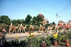 05_1976_11_Asie_18_Agra_Red_Fort