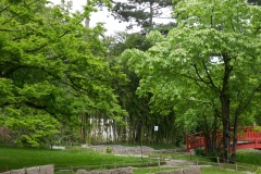 jardin-japonais-2