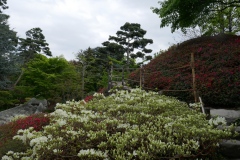 jardin-japonais