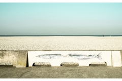 1-Le-Havre