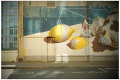 5-Le-Havre