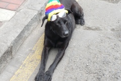 05_Touche_couleurs_2007_Lima