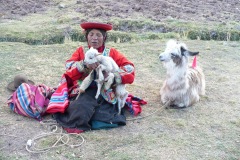 06_Touche_couleurs_Cuzco