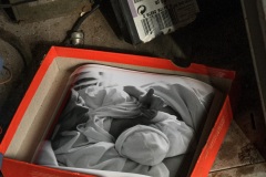 10032021-_RCM0259