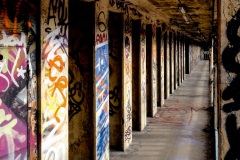 JC_Molitor4_03020