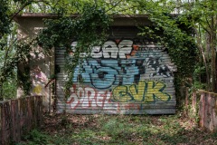 DSCF8401
