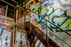 DSCF8424