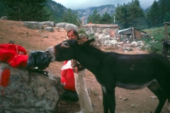 04_Theme_libre_Animaux_Corse_GR20