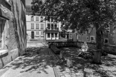 Sous mon arbre