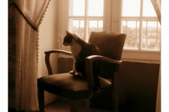 04-Minette