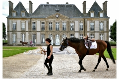 06-Le-haras-du-pin