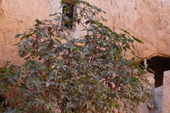 06_2007_11_Tunisie_Matmata