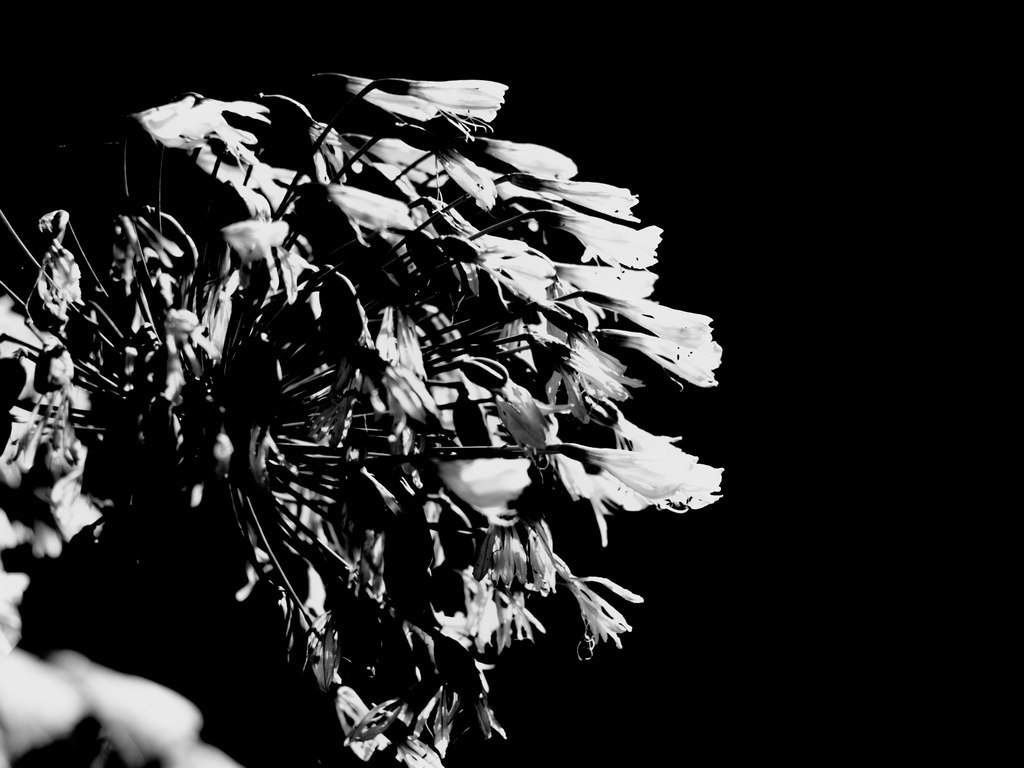 20210904_0010