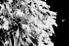 20210904_0001
