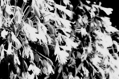 20210904_0005