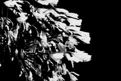 20210904_0008