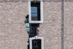11072021-_RCM6540