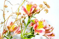 DSCF9335