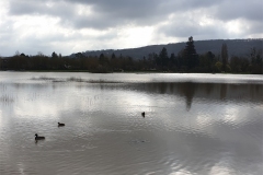04_Reflets_Bassin_retenue