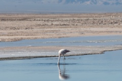 Reflets-2