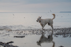 Reflets-3