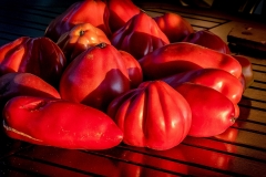 Tomates