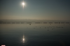 22102018-_RCM8539