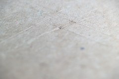 20201220_0005