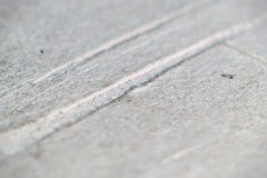 20201220_0019